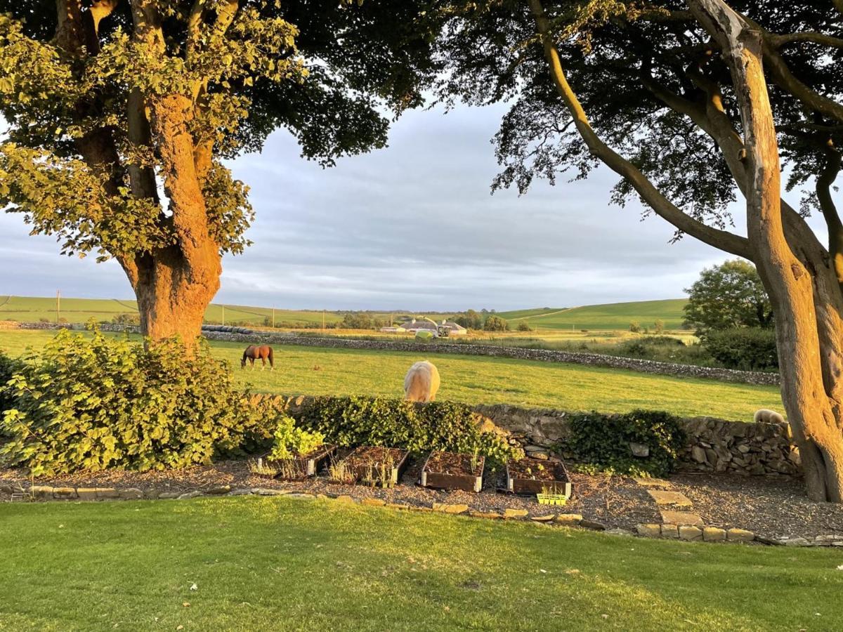 Galloway Farmstay Claunch Newton Stewart Exterior foto